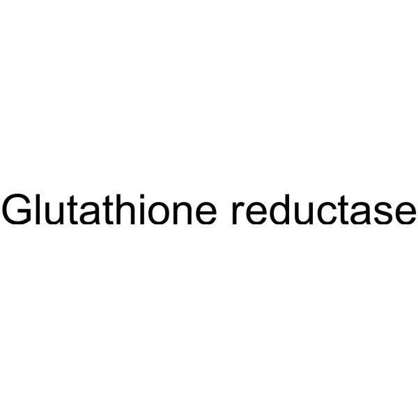 Glutathione reductase (EC 1.6.4.2) 9001-48-3